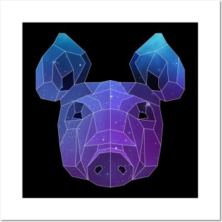 Galaxy Pig Posters and Art